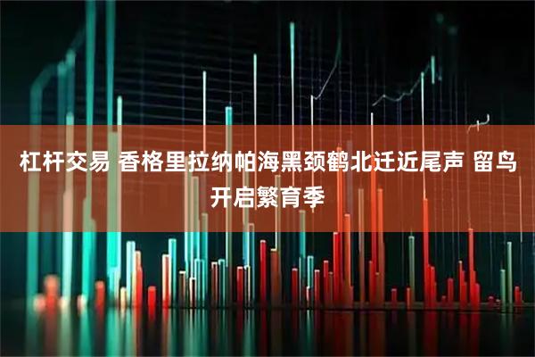 杠杆交易 香格里拉纳帕海黑颈鹤北迁近尾声 留鸟开启繁育季